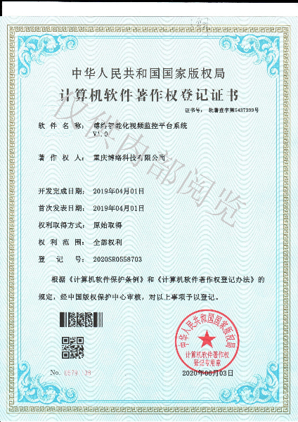 智能化視頻監控平臺.jpg
